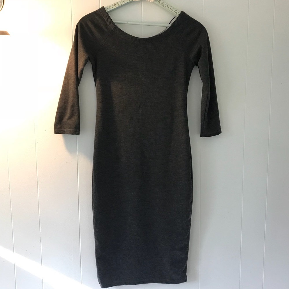 NWT Zara Silhouette Dress